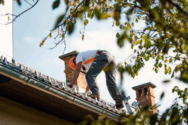 Best Local Roofing Companies  in Salix, PA